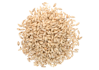2-Row Malt - Briess Malting