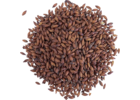 Chocolate Malt | Viking Malt