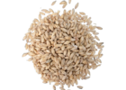 German Extra Pale Premium Pilsner Malt | Weyermann® Specialty Malts