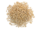 2-Row Malt - Rahr Malting