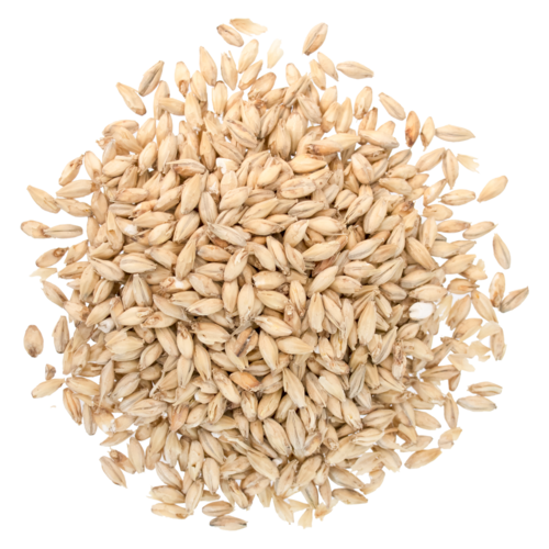 Briess Brewers 2-Row 5 lb