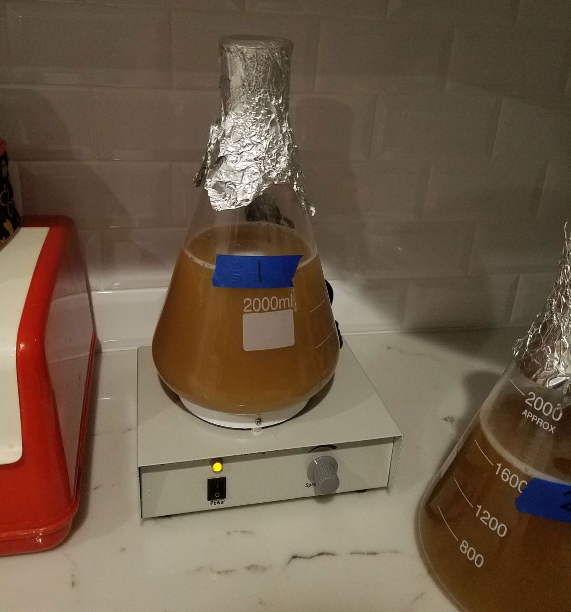 Making a yeast starter