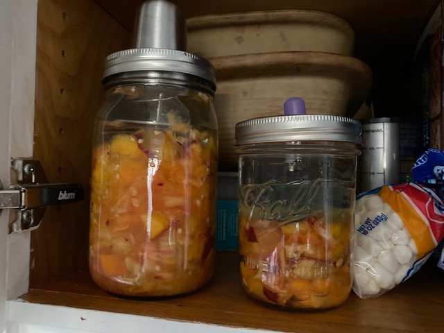 Food Fermentation