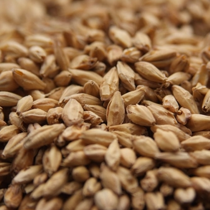 Bag of Viking 2-Row Xtra Pale Malt