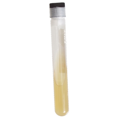 A slant tube for long term storage of yeast.