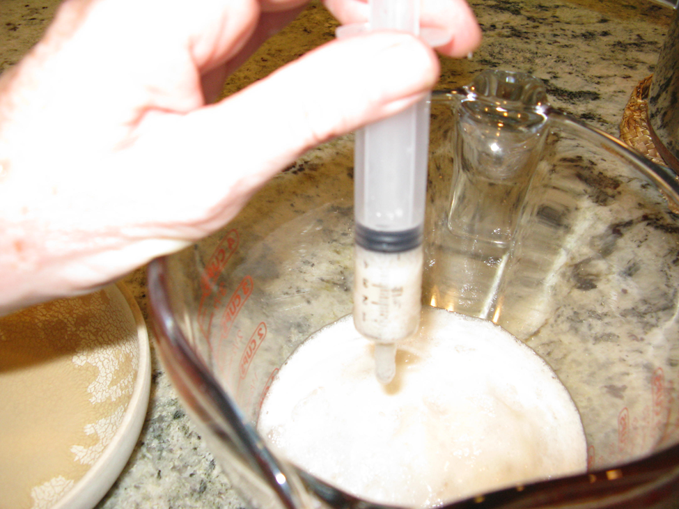 Adding Yeast To Beer