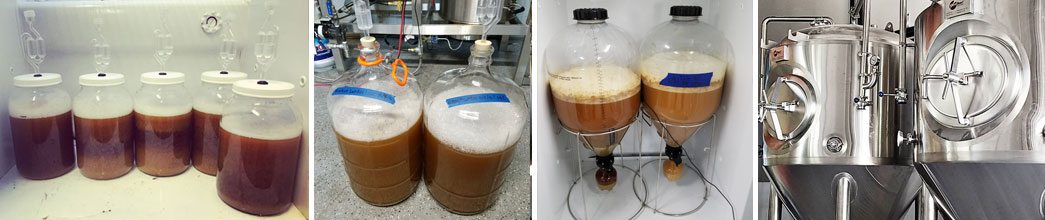 Fermenting Beer