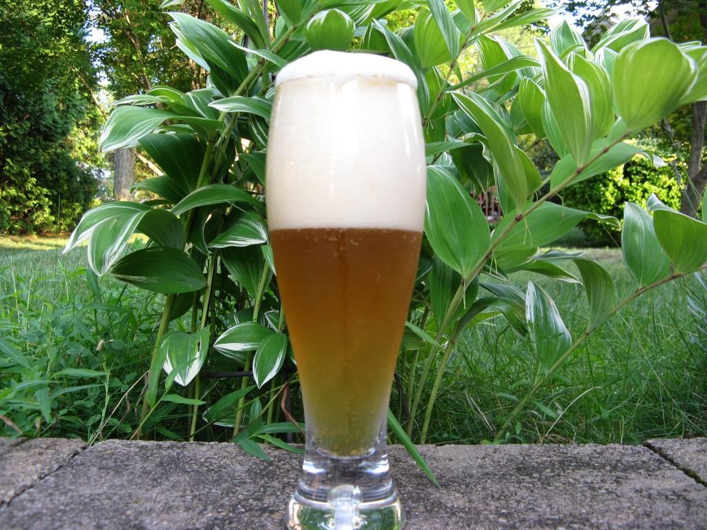 Homebrewed Classic American Pilsner