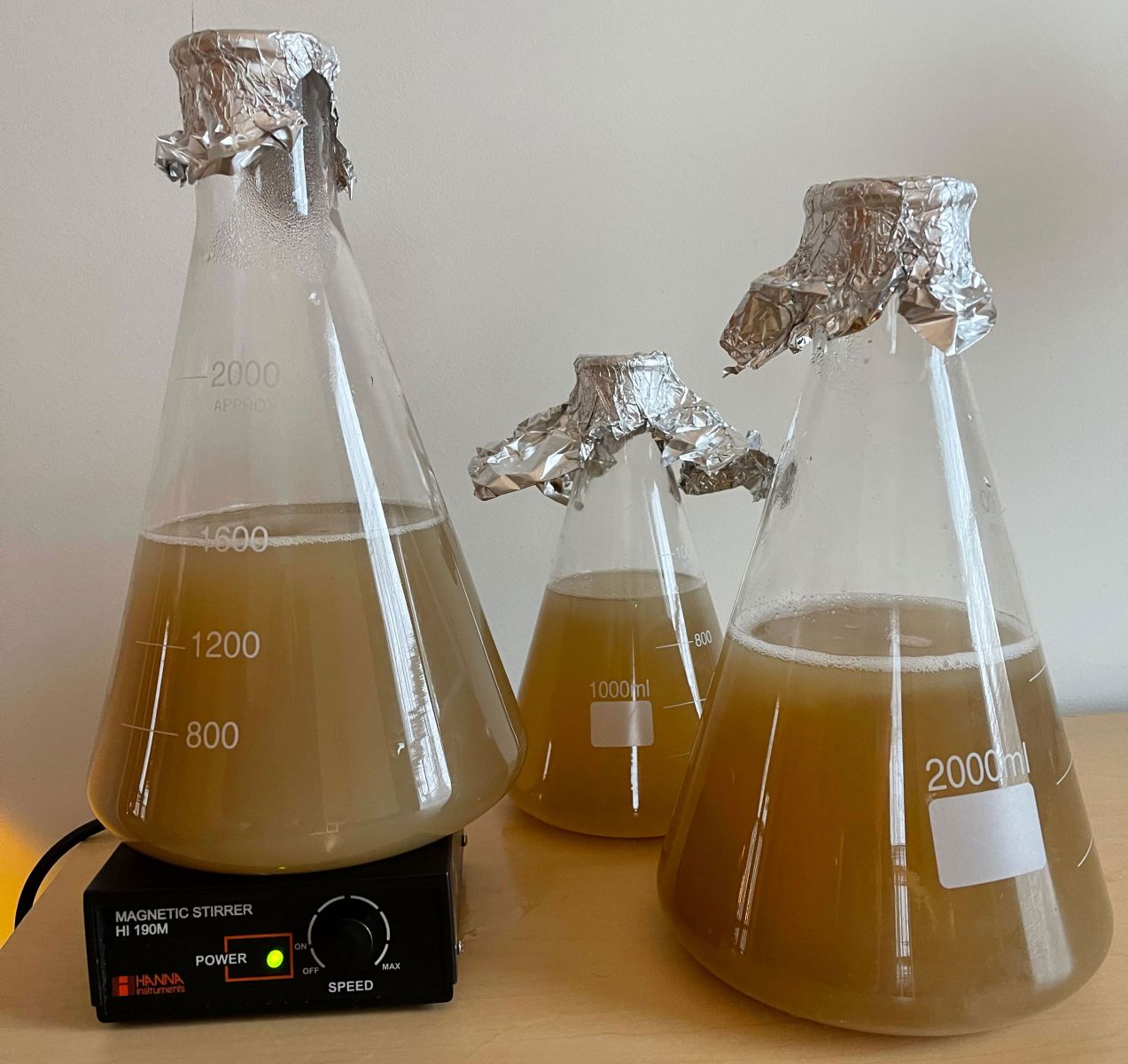 NEIPA Yeast