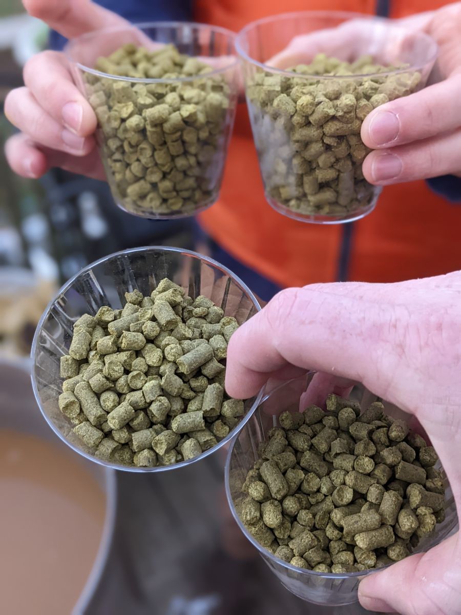 Brewing Hops