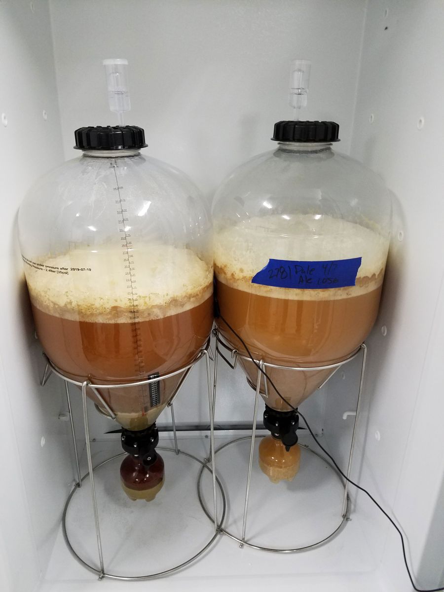 Fermenting Beer