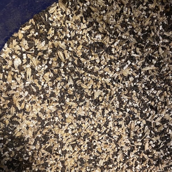 A pile of brewing grains