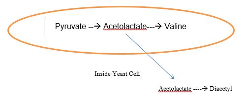 yeast cell producing diacetyl